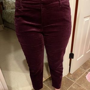 Burgundy Velvet Business Pants